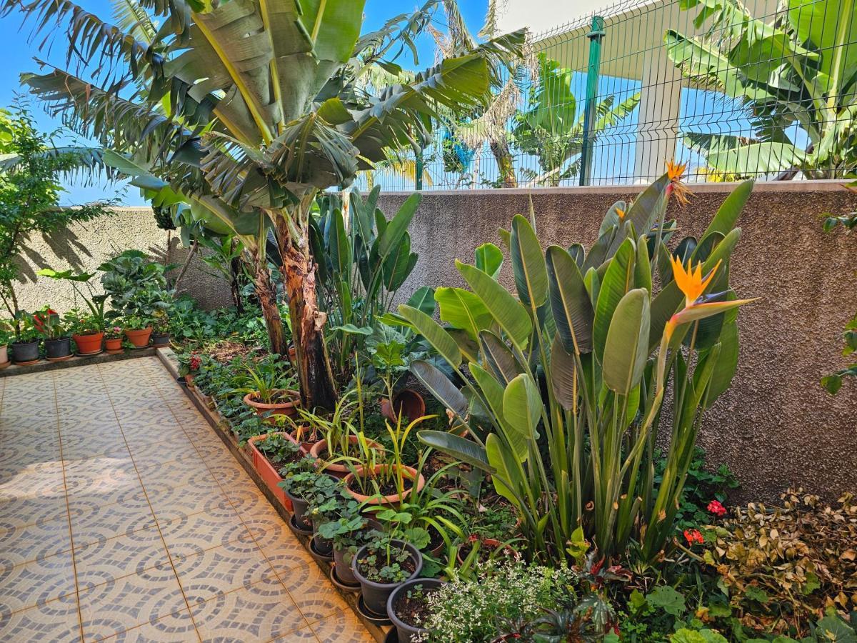 Casa De Feria Do Livramento Βίλα Φουνκάλ Εξωτερικό φωτογραφία